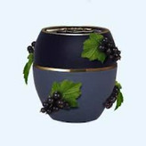 بالم محافظت کننده تندرکر انگور فرنگی سیاه