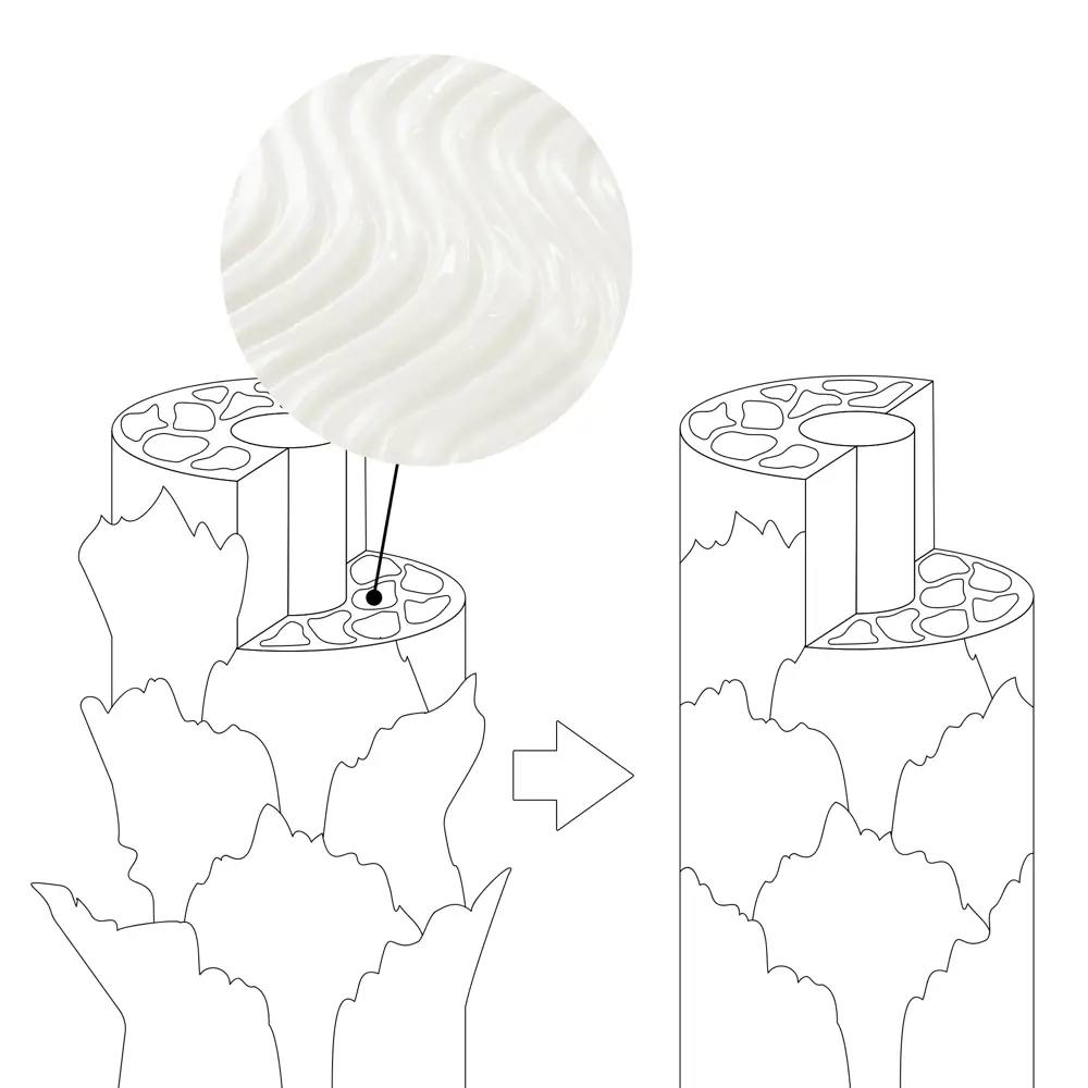 شامپوی پیش از ترمیم باند دئولوجی
