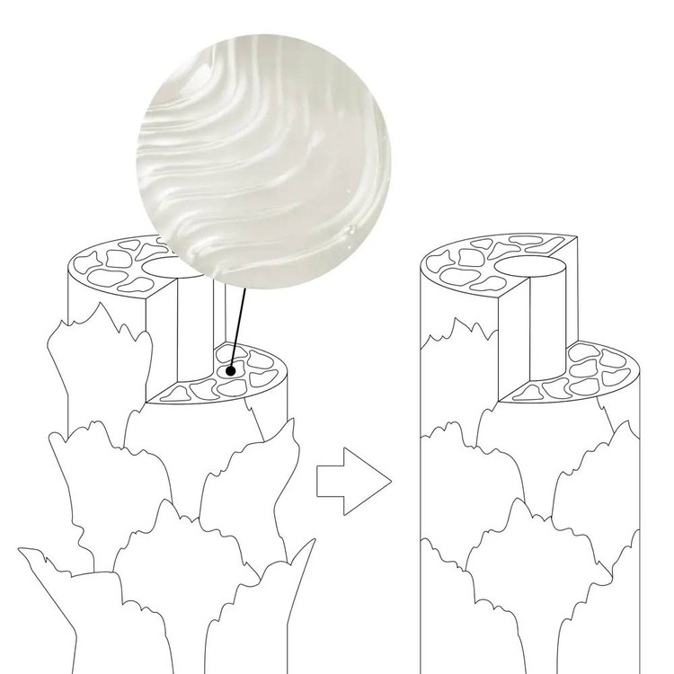 سرم موی شب ترمیم کننده باند دئولوجی